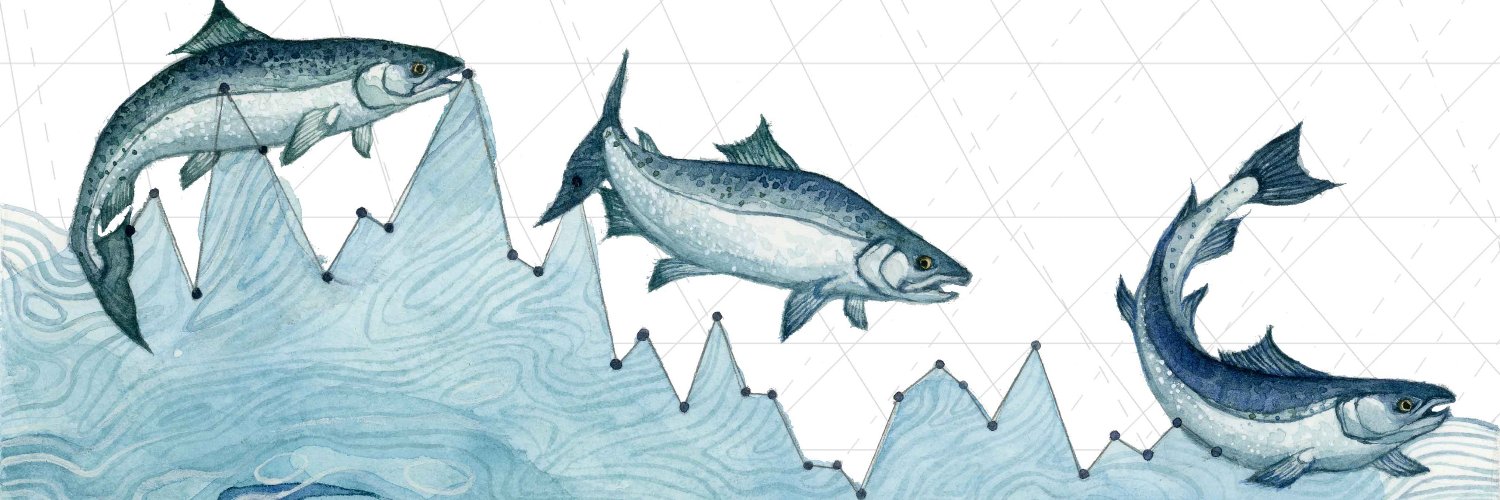 0xsalmon's profile banner image