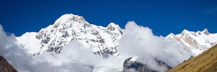 yanimedica's profile banner image
