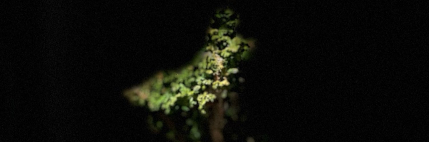 kaishiny_'s profile banner image