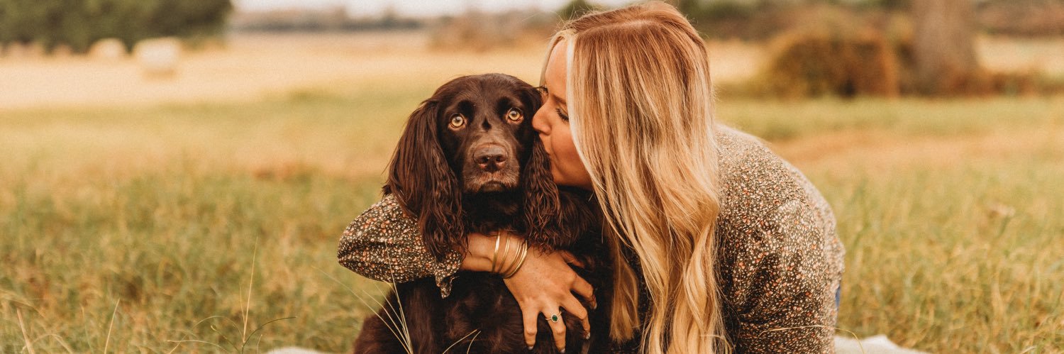 allisonvile's profile banner image