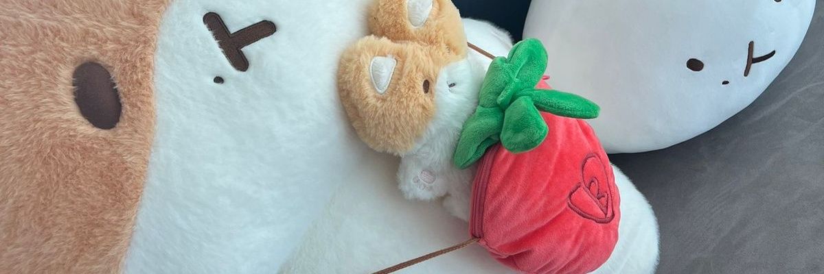 🍒🍓 banner