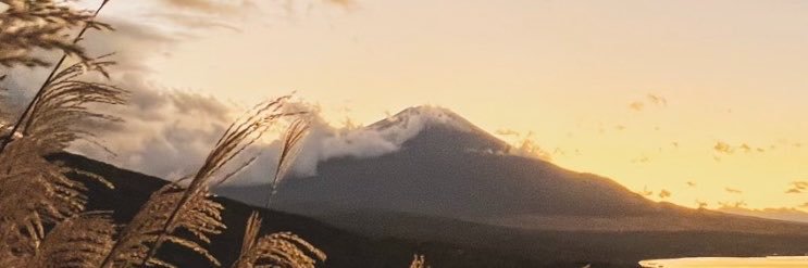 toma29_'s profile banner image