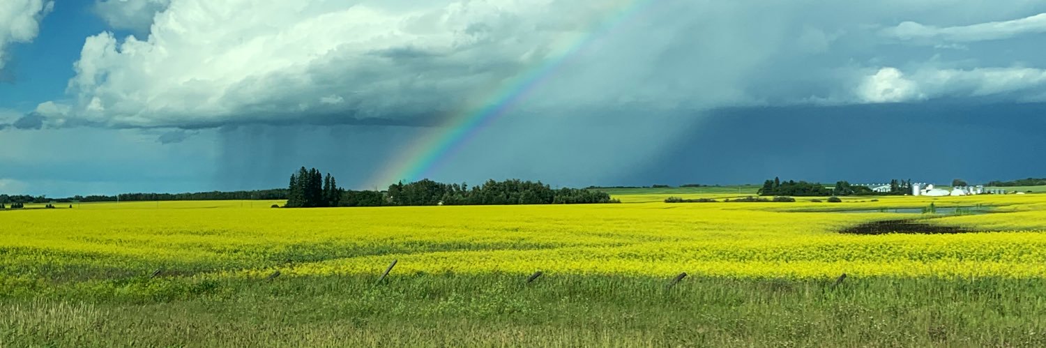 catlnml's profile banner image