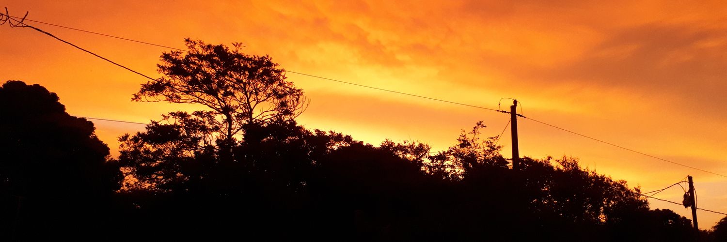 SaraUseda's profile banner image