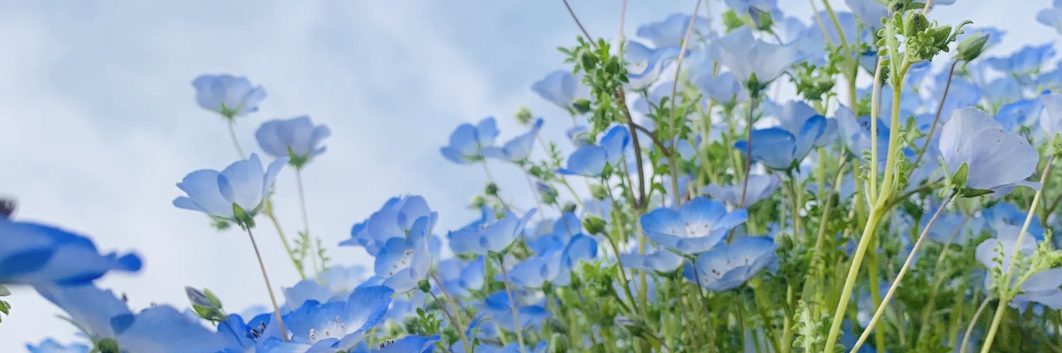 choco96113's profile banner image