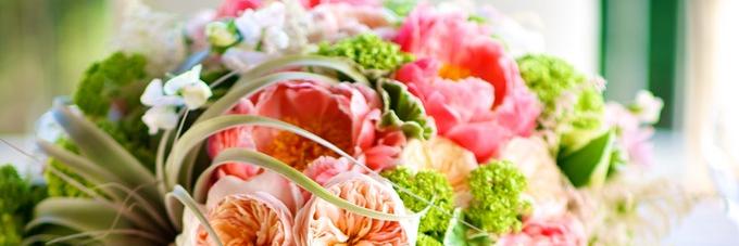 WeddingdiaryMe's profile banner image