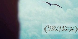 ibrahim12217's profile banner image