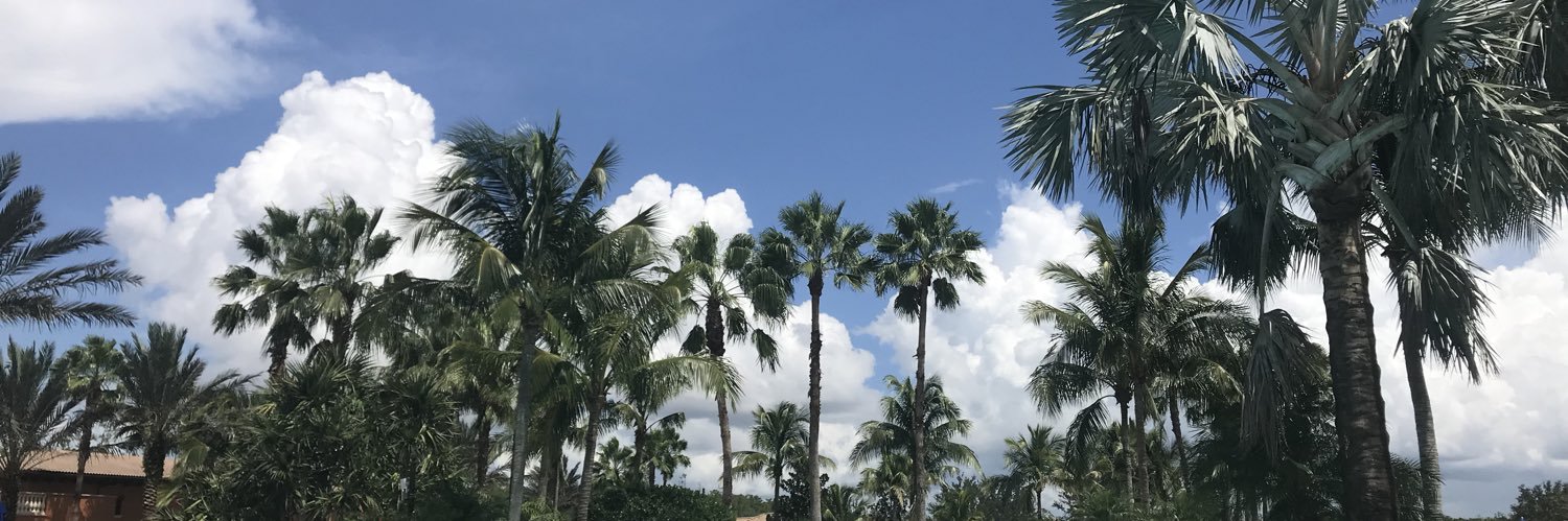 seifertks's profile banner image