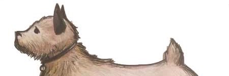 artinfliction's profile banner image