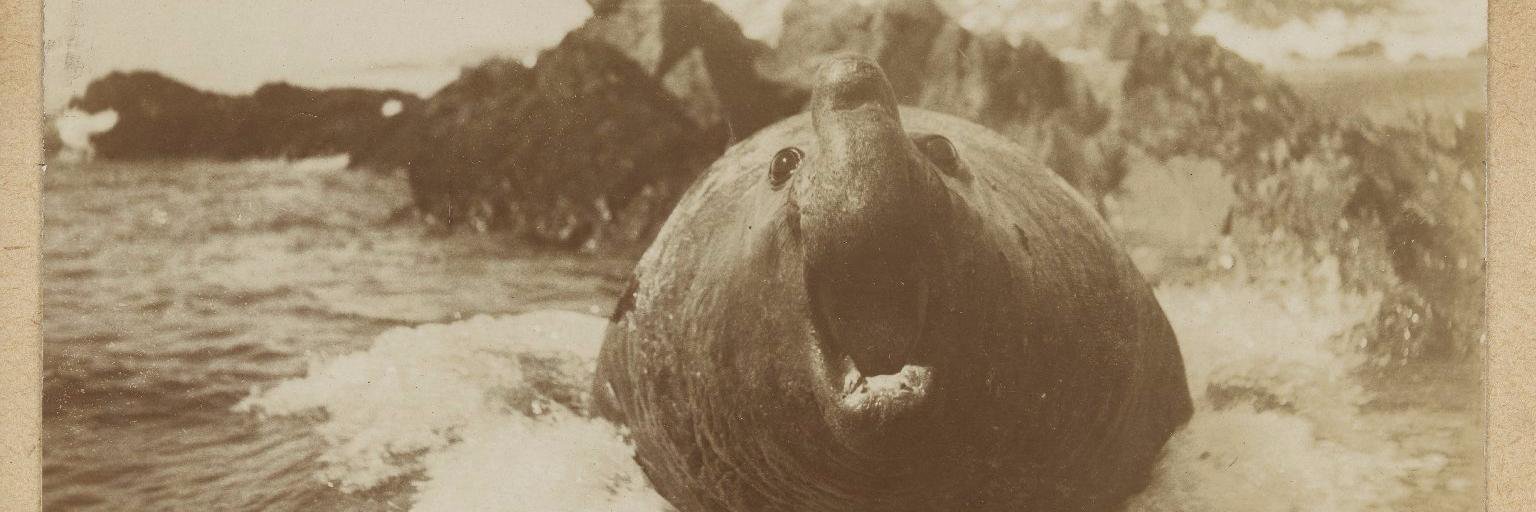 Edinburgh Univ OERs banner