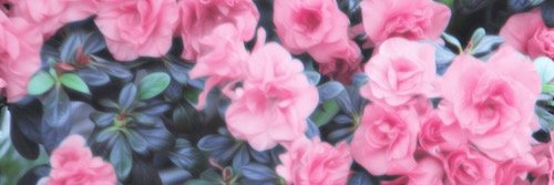 Olivia_Mason's profile banner image