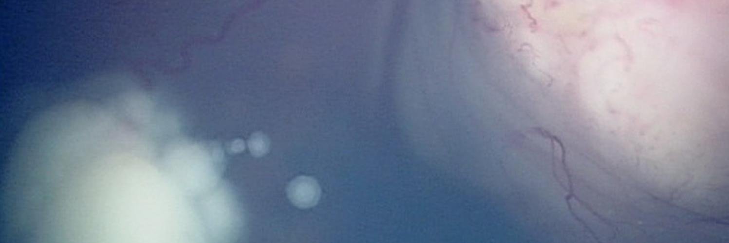 1rbworld's profile banner image