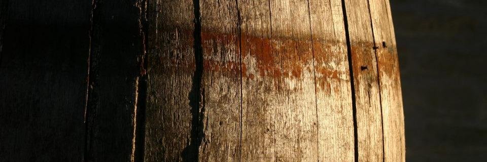 ForanoFattoria's profile banner image