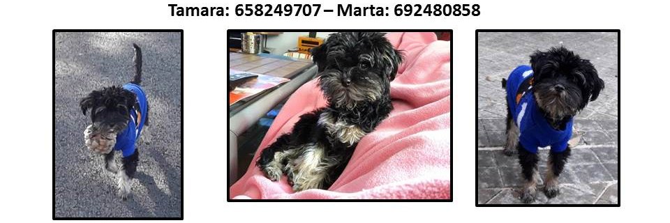 Martuk83's profile banner image