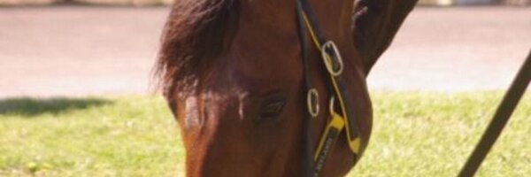 BradWWaters Profile Banner