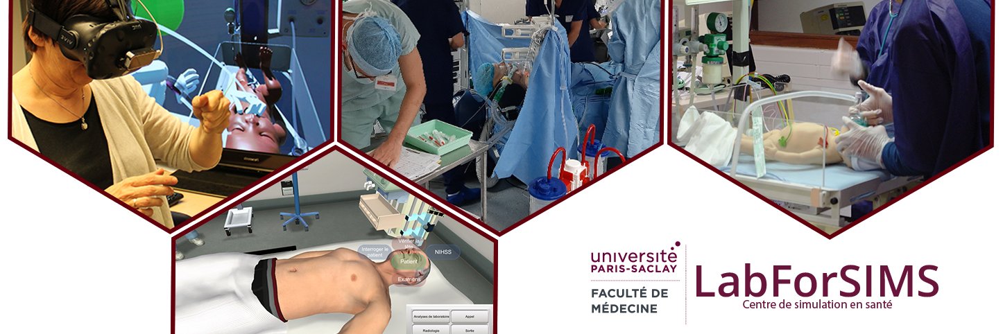 LabForSIMS banner