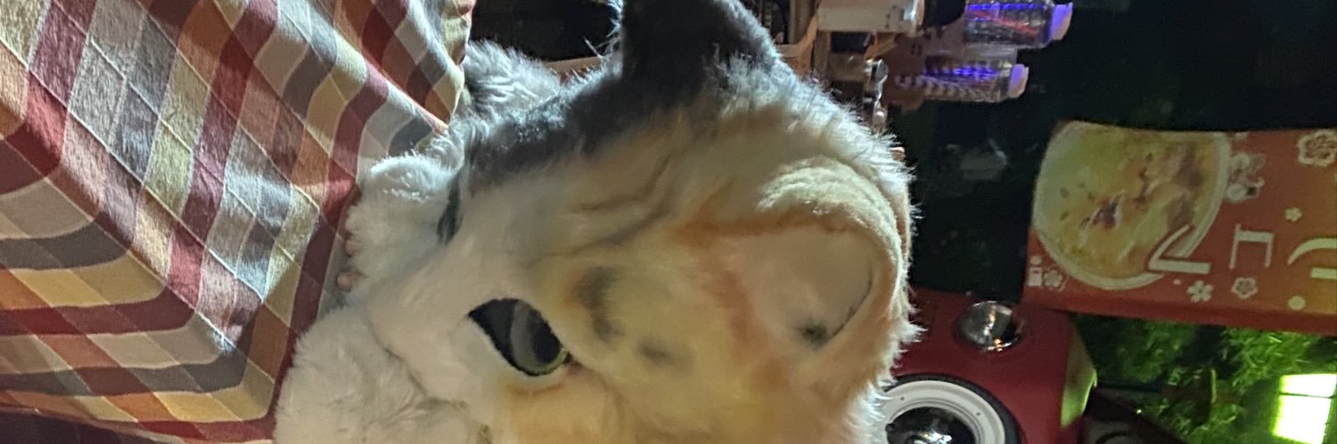 ꧁ 貓乆孃・三毛猫商会꧂ banner