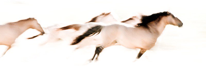 astridharrisson's profile banner image