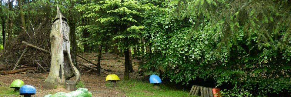 FriendsofCwmcarnFD banner