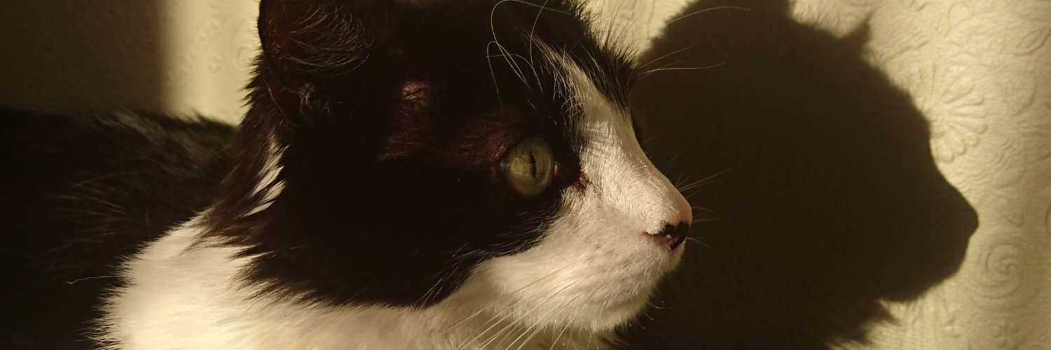 supended5th's profile banner image
