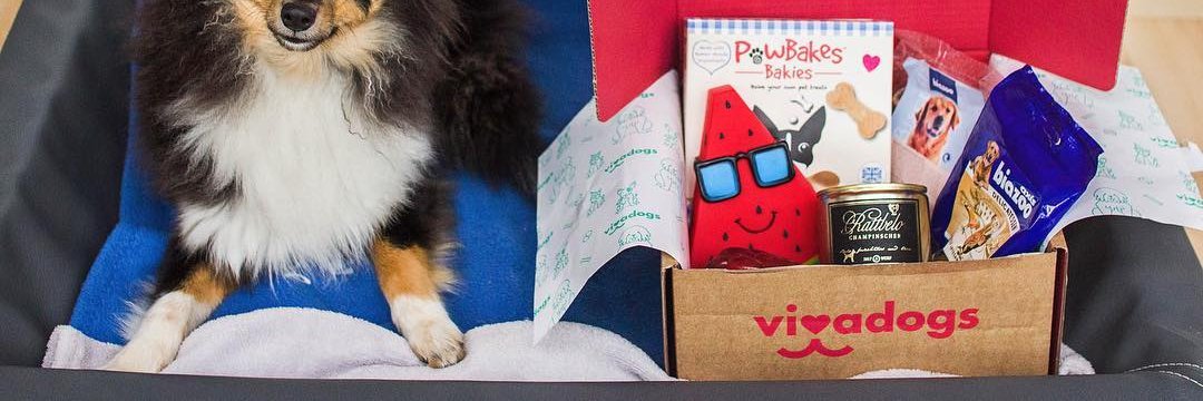vivadogsUK's profile banner image