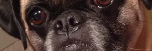 Coryinthe's profile banner image