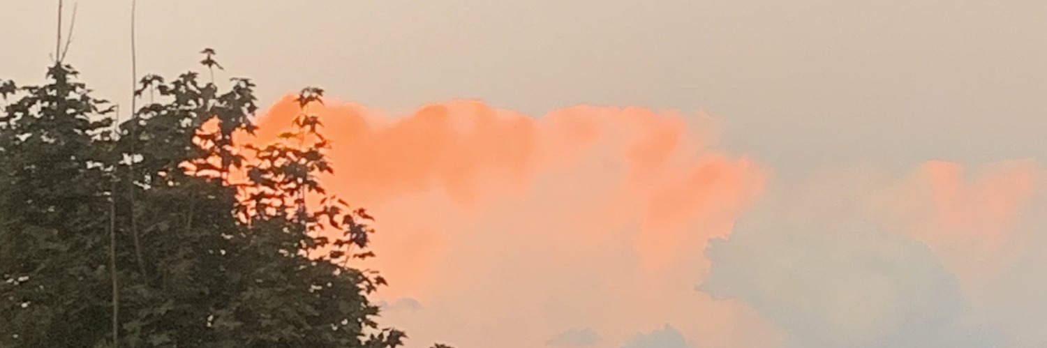 sam beckwith-zimmerman banner