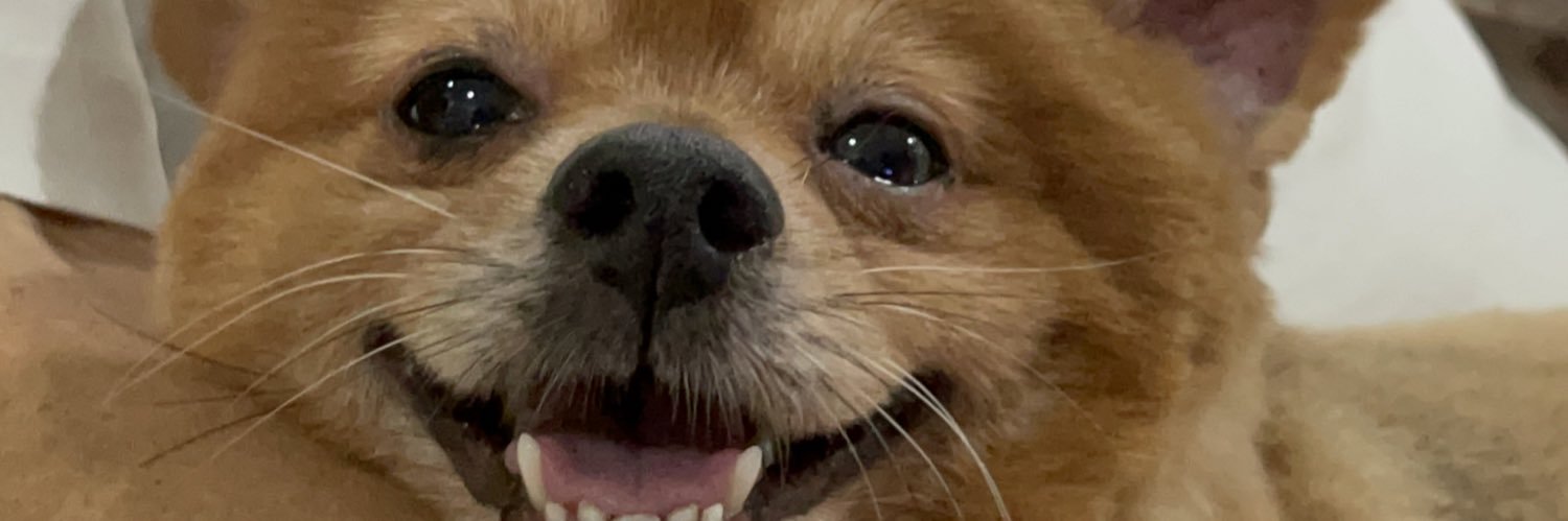 JusChrystal's profile banner image