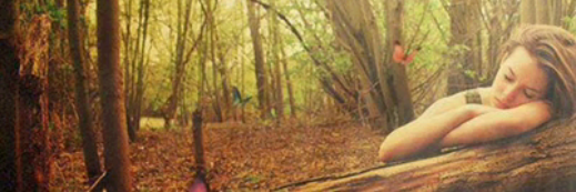 hon3yhd's profile banner image