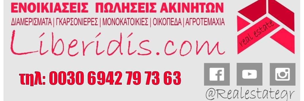Vassili banner