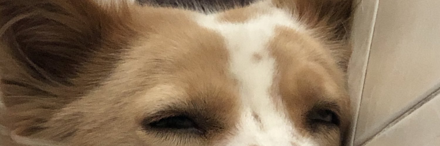oonjub's profile banner image
