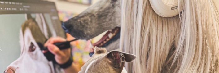 sakio🐾書籍「4ステップで誰でもかわいく描ける いぬとねこのイラスト練習帖」発売中🐾 banner