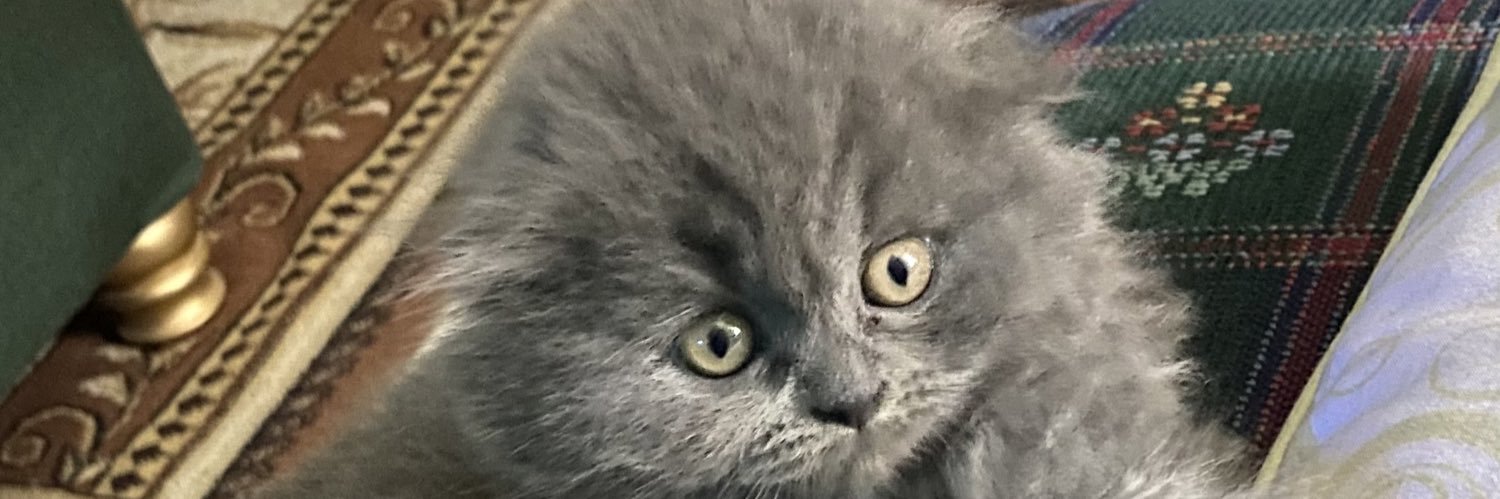 youssefkhader7's profile banner image