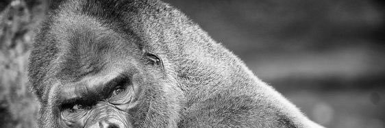 EganBenjamin's profile banner image
