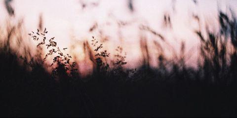 nahahady's profile banner image