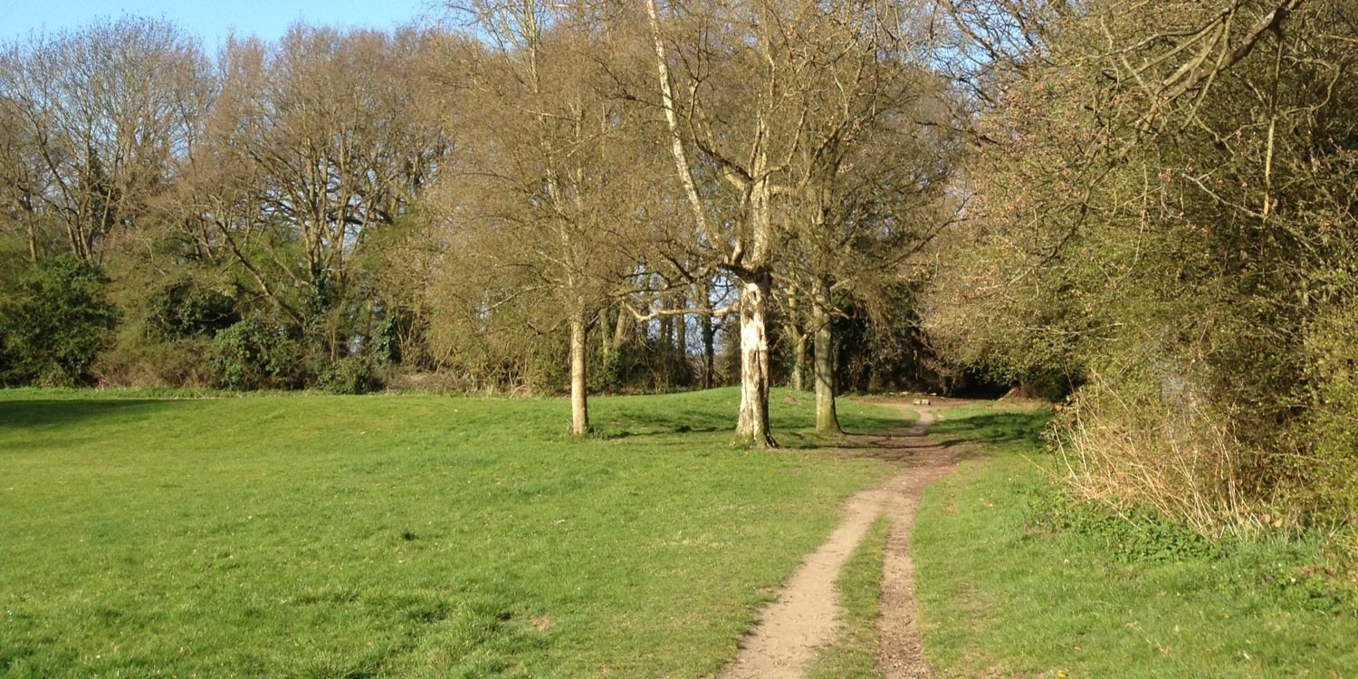 Dr Sarah Hanson banner