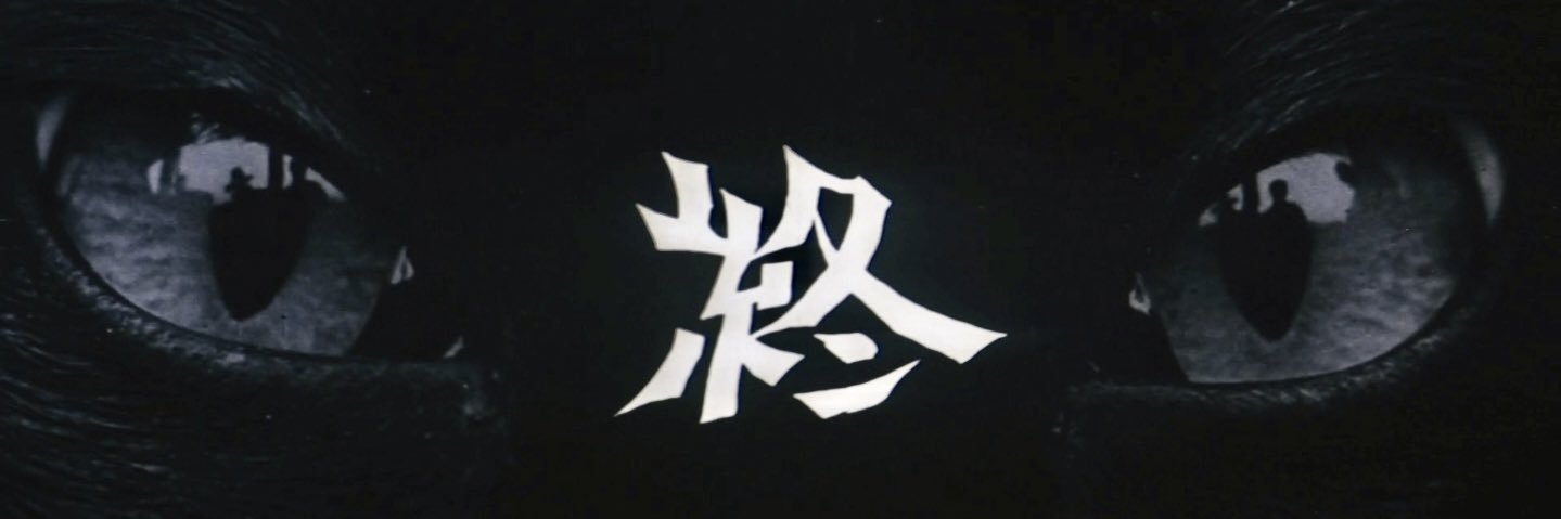 Amorphophallus 🦖 banner