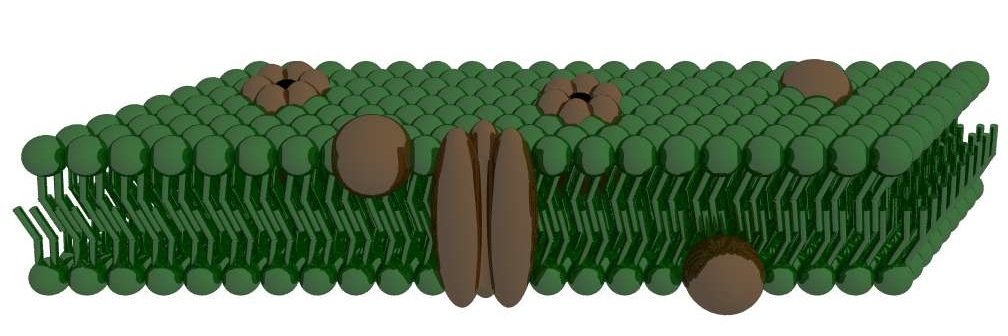 Cell_Membranez's profile banner image
