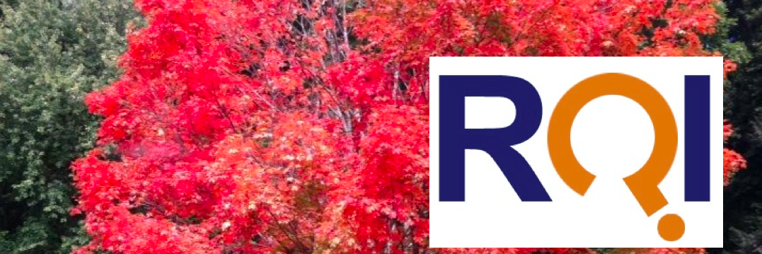 MarcyRQI's profile banner image