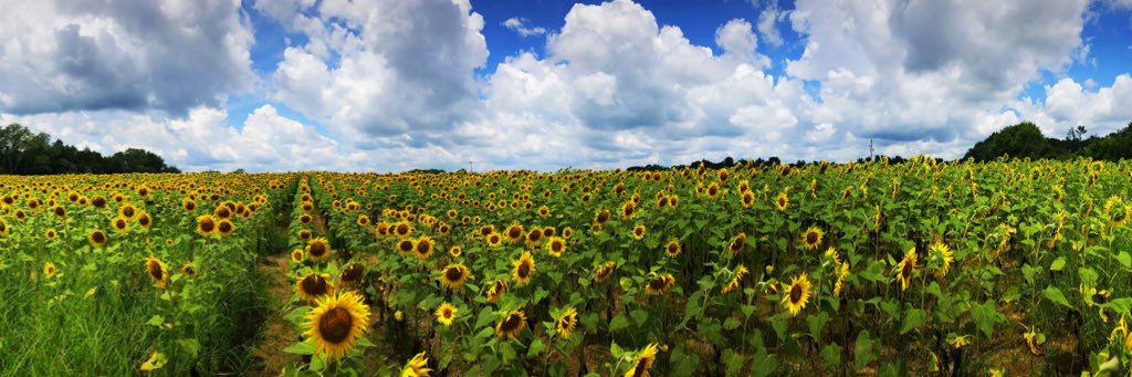 MaryOConnell_'s profile banner image