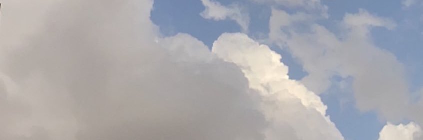 a_1ms's profile banner image