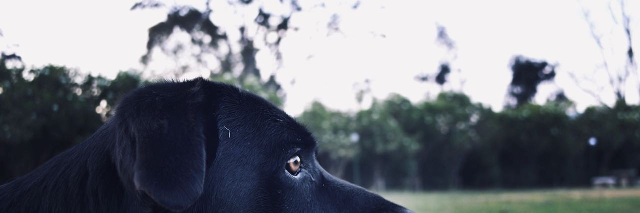 SimonPerilla's profile banner image