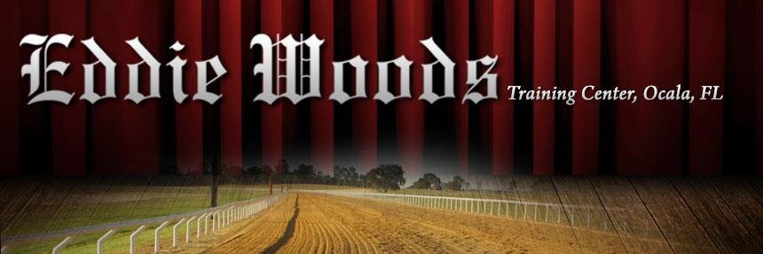 EWoodsStables's profile banner image