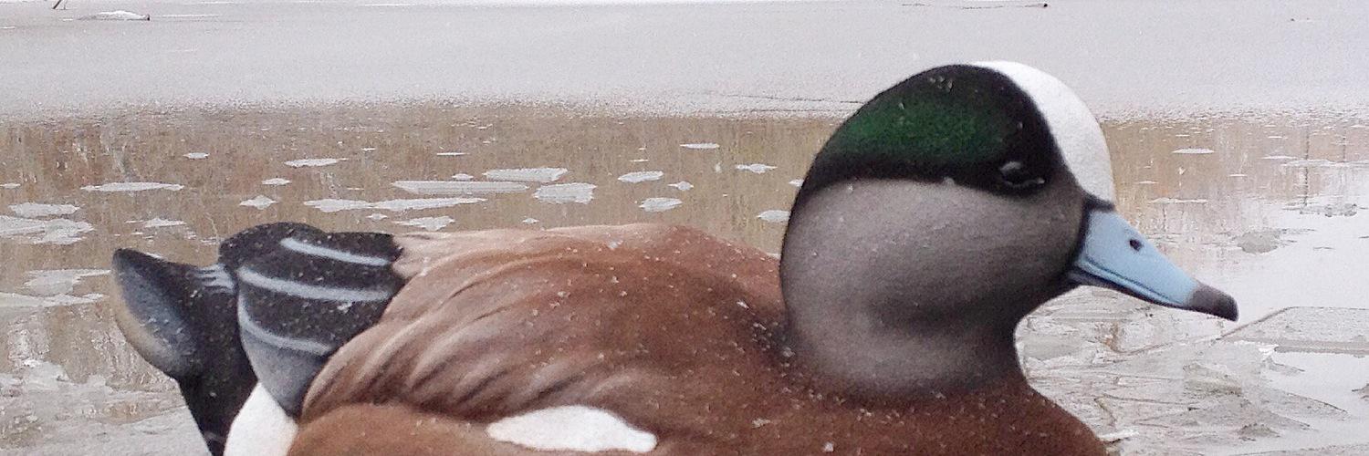 MintzDecoys's profile banner image