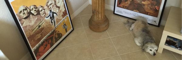 RexRetweets Profile Banner