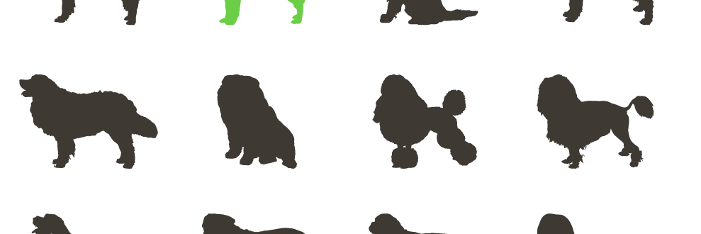 DogIdentifier's profile banner image