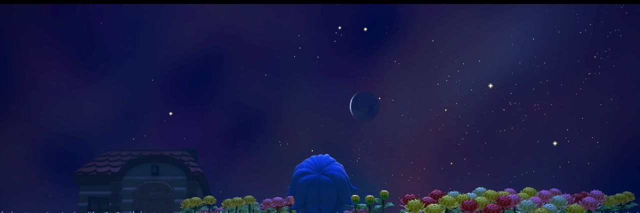 Telatran2's profile banner image