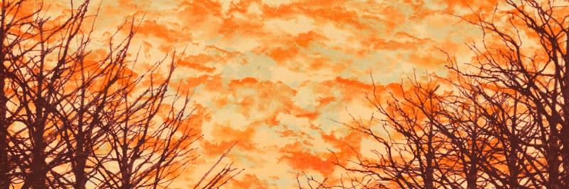clary0117's profile banner image