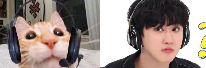anybins's profile banner image