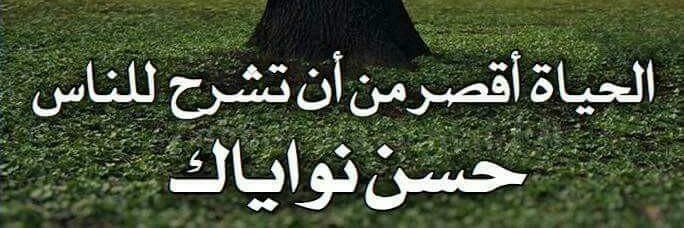 إبراهيم كيشان banner